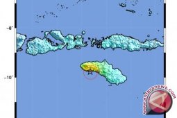 Gempa 4,7 SR Guncang Alor