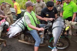 Harga Ikan di Teluk Batang Naik, Dampak Nelayan Belum Melaut