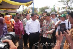 Mentan Targetkan Swasembada Jagung 2018