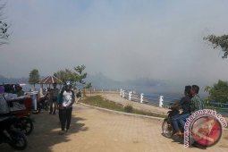 Mukomuko Padamkan Kebakaran Hutan Di Danau Nibung