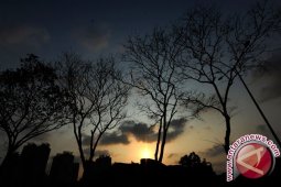 Afrika Selatan Alamai Kemarau Terburuk Akibat El Nino