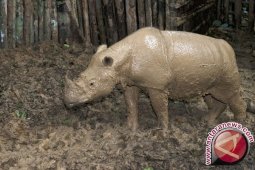 10 Dubes Akan Hadiri "Asean Heritage Park"
