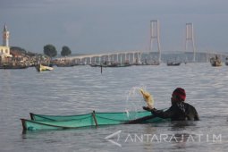 Nelayan Pencari Udang