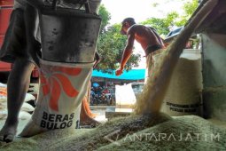 Pngadaan Beras Bulog Bojonegoro 98 Persen
