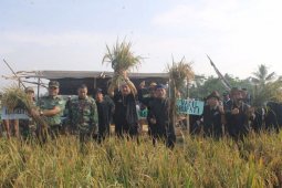 Jual Sawah Di Purwakarta Harus Seizin Bupati