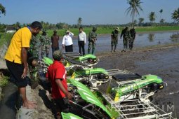 Bantuan Mesin Tanam Padi Diharapkan Tingkatkan Produktivitas Petani Jember