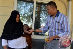 102 orangutan dilepasliarkan kembali di hutan