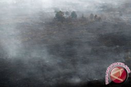 Perusahaan Perkebunan Diminta Ikut Bertanggungjawab Terhadap karhutla