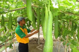 Varietas Baru