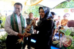 Mentan Berharap Kutai Kartanegara Jadi Produsen Padi