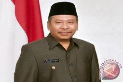 Gubernur Babel Upayakan Bangun PLB Timah