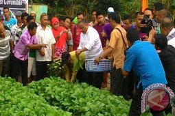 Pemprov: Kawasan Pertanian Terpadu Penggerak Ekonomi Petani