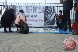 Anak muda Jambi kampanye lestarikan Harimau Sumatera