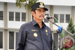 Bukit Tambunan Pejabat Bupati Tapteng