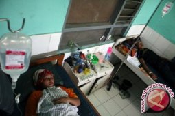 Chikungunya Serang 10 Warga Kampung Lodaya Sukabumi