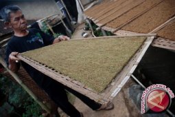 Komnas PT: Petani Tembakau Perlu Koperasi