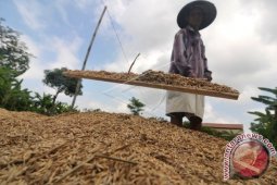 Harga komoditi Tapsel