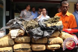 Petugas Kebersihan Edarkan Ganja