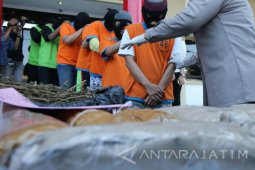 Kasus Peredaran Ganja