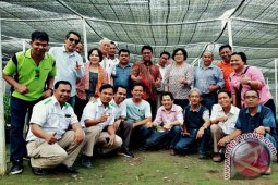 Mengenal "Raja Sawit" Asian Agri dari dekat