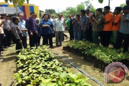 Menteri LHK tinjau hutan desa Hajran