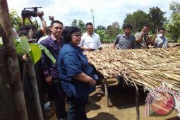 Menteri: hutan tanaman rakyat solusi konflik lahan