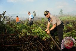 Kebakaran Lahan di Rasau Jaya