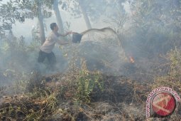 BPBD Kalbar: Lima Kabupaten Siaga Darurat Asap