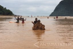 Pantai Pulau Merah Banyuwangi Digenangi Lumpur