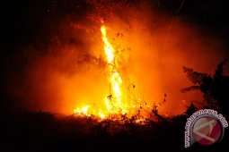 Masyarakat Singkawang Diimbau Hentikan Bakar Lahan
