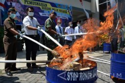 Pemusnahan Rokok Ilegal