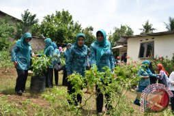 Ketua PKK Kunjungi Kampung Toga