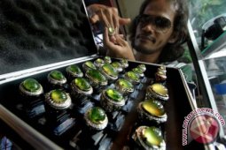 Kelangkaan Batu Giok Aceh