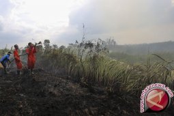 Wagub: Sumsel Sudah Lewati Masa Kritis Kebakaran Hutan