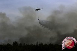 67 Titik Panas di Sumatera Pada Jumat Pagi
