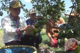 Director General appreciates Batola develops agriculture