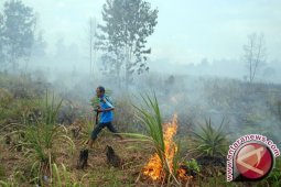 Waspadai potensi kebakaran hutan di Sumatera-Kalimantan, kata BMKG