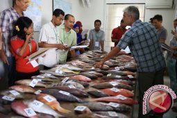 KNTI: Permodalan Kendala Pengusaha Perikanan