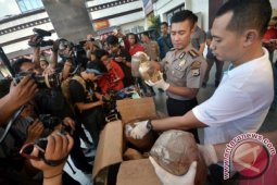 Rilis Ganja 4 Kilogram