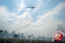 Satgas Manfaatkan Air Laut Padamkan Gambut Meranti