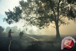 Kabut asap selimuti Martapura Kalsel