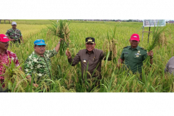 Kubu Raya Berkomitmen Jadi Kabupaten Mandiri Pangan