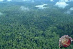 Kawasan Hutan Malinau Destenasi Wisatawan Mancanegara