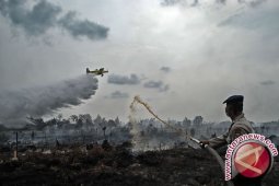 BNPB: Upaya Pemadaman Karhutla Menuai Hasil Signifikan