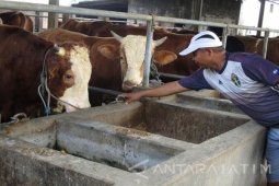 Australia harus pilih, Amerika Serikat atau China