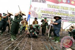 Gubernur-Pangdam Tanam Padi di Batu Betumpang