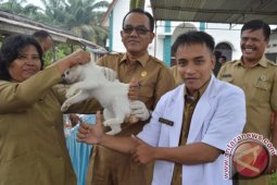 Pemkab Labuhanbatu Tekan Penyakit Rabies