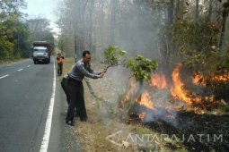 Tujuh Hektare Hutan Baluran Situbondo Terbakar