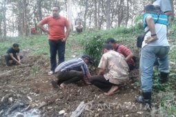 Polres Ponorogo Tangkap Pelaku Pembalakan Hutan