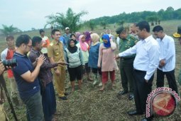 Mentan sedih petani Jambi tidak dapat bantuan